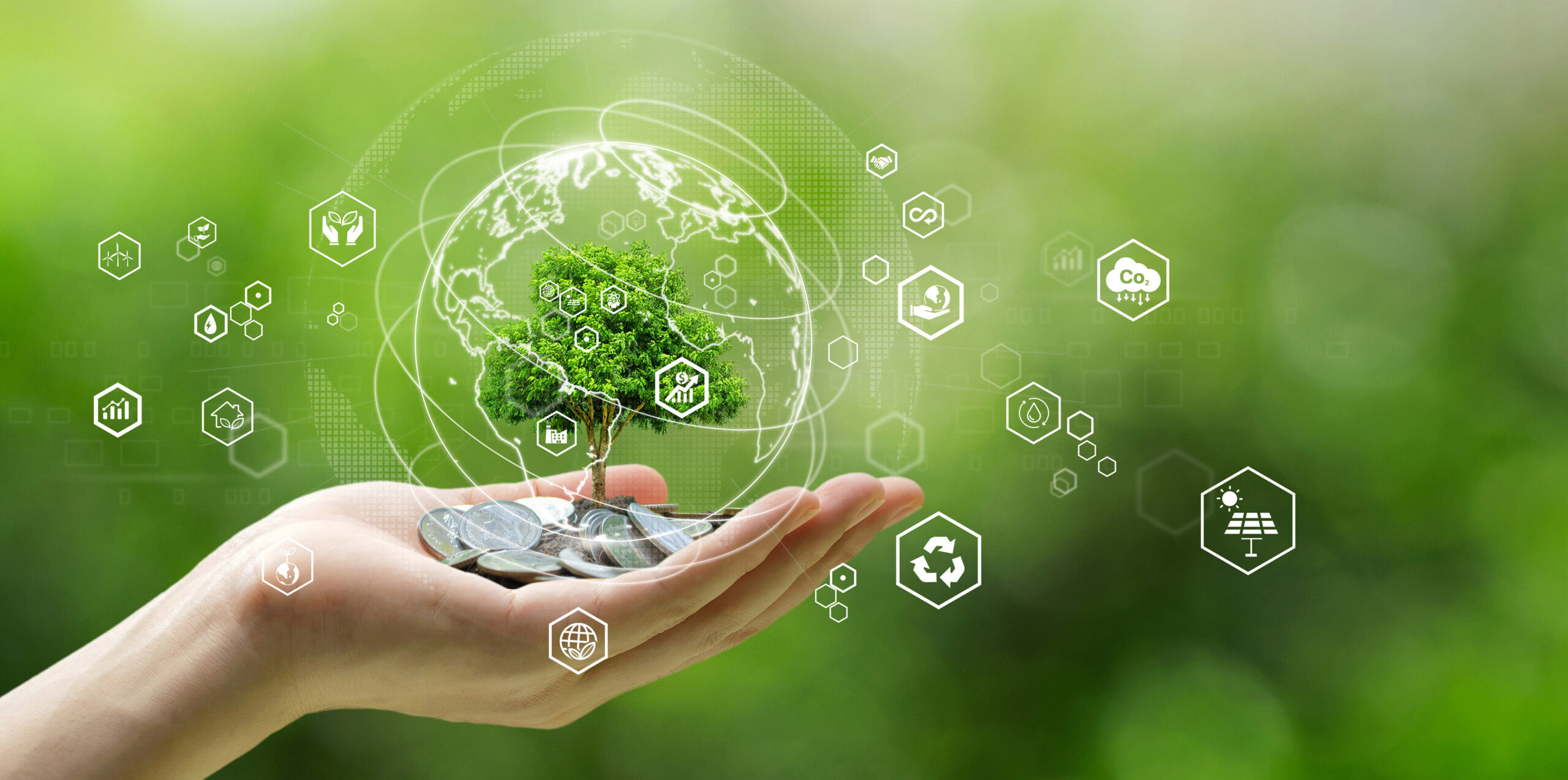 a hand holding a tree surrounded by data and icons